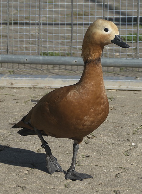 际案例