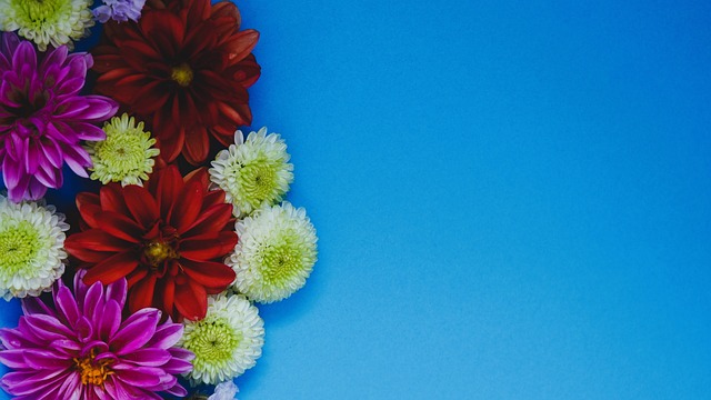 激起千层浪 激起千层浪