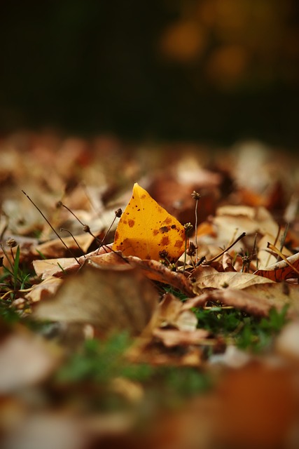 成与演化的 成与演化的