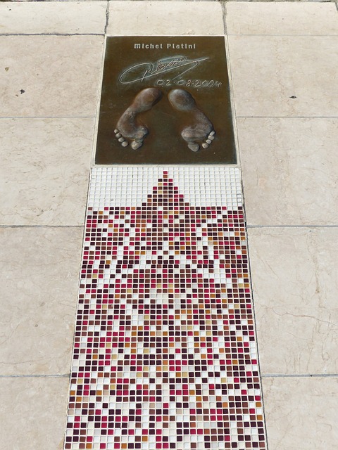 为中国培养 为中国培养