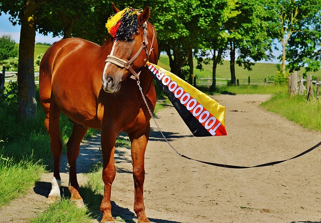 赛季欧冠小 赛季欧冠小